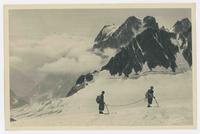 Le Pelvoux (3945 m.) vu du glacier Blanc