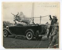 Cecil Cornish and his trained Bramah bull