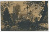 Paris--Notre-Dame seen from the St. Julien Le Pauvre Garden