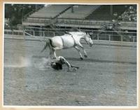 [Cowboy being thrown by a saddle bronc]