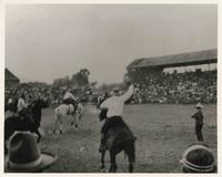 1928 Livingston, Montana,Turk Greenough winning his first bronc riding, horse was White Coyote