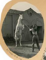 Ann Blyth and white horse