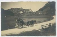 [Stagecoach with two horses and uniformed driver]
