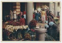 Flower corner of the market, Funchal, Madeira