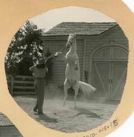 Polly Burson and white horse