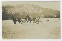 [Horse-drawn sleigh racing]