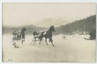 [Horse-drawn sleigh racing]