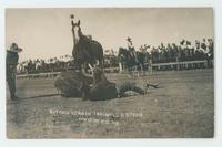 Buffalo Vernon throwing a steer, Cheyenne, Wyo., 9111