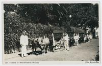 Carros de bois--Funchal--Madeira