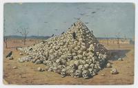 [Pile of human skulls]