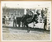 [Cowboy being thrown by a saddle bronc]