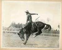 [Cowboy saddle bronc riding]