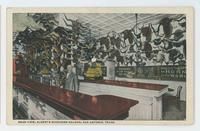 Buckhorn Saloon, San Antonio, Texas, February 1921