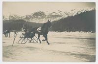 [Horse-drawn sleigh racing]