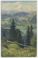 [Meadow with alpine lake and mountains]