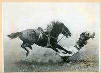 [Cowboy being thrown over the head of a saddle bronc]