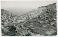 Campanario--Madeira