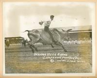 Brahma steer riding Cheyenne Frontier Days