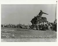 Turk Greenough on Souvenir Sept 5, 1941 the ride that won the 1941 finals Sheridan County Fair
