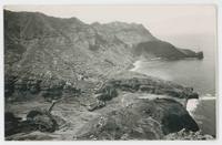 [Madeira coastal scene]