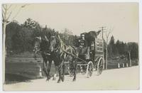[Stagecoach with two horses and uniformed driver]