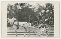 [Horse-drawn cab in Quebec]