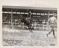 Bill Greenough on Tarzan, Red Lodge Rodeo July 5, 1941