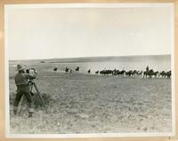 [photographer taking photograph of cowboys herding horses]