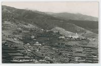 Estreito de Camara de Lobos--Madeira