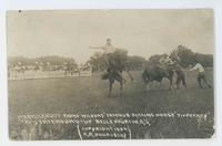 Yakima Canutt riding Wilsons Famous Bucking Horse 'Tipperary' Tri-state Round-up Belle Fourche, S.D.