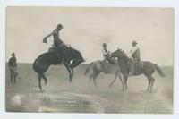 [Cowboy saddle bronc riding] Cheyenne, Wyo.