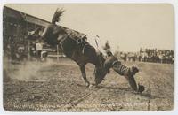 Nichols Taking a Spill from 'Stranger' 101 Ranch