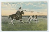 Lassoing a steer, on the open range by an expert roper, Chas. Irwin