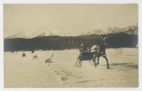 [Horse-drawn sleigh racing]