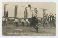 Jim Wilkes on a High Stepping Steer, Tucumcari, N.M.