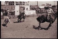 Unidentified Team ropers