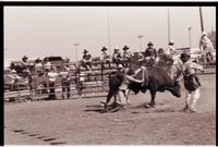 Unidentified Bull rider on unknown Bull