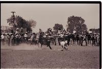 Unidentified Calf roper