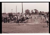 Unidentified Bareback rider