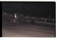 Unidentified Team ropers