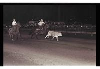 Unidentified Team ropers