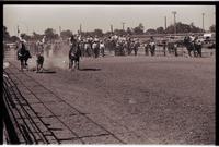 Unidentified Team ropers
