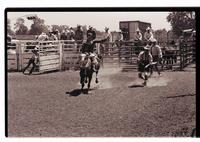 Unidentified Bareback rider