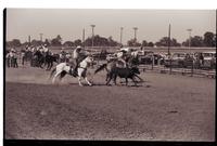 Unidentified Team ropers