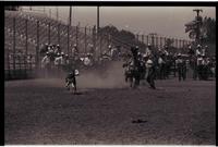 Unidentified Calf roper