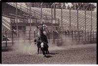 Unidentified Calf roper