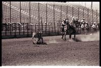 Unidentified Calf roper