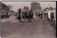 Unidentified Steer wrestler