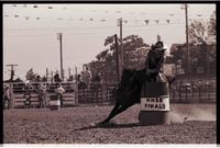 Unidentified Barrel racer