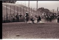 Unidentified Steer wrestler
